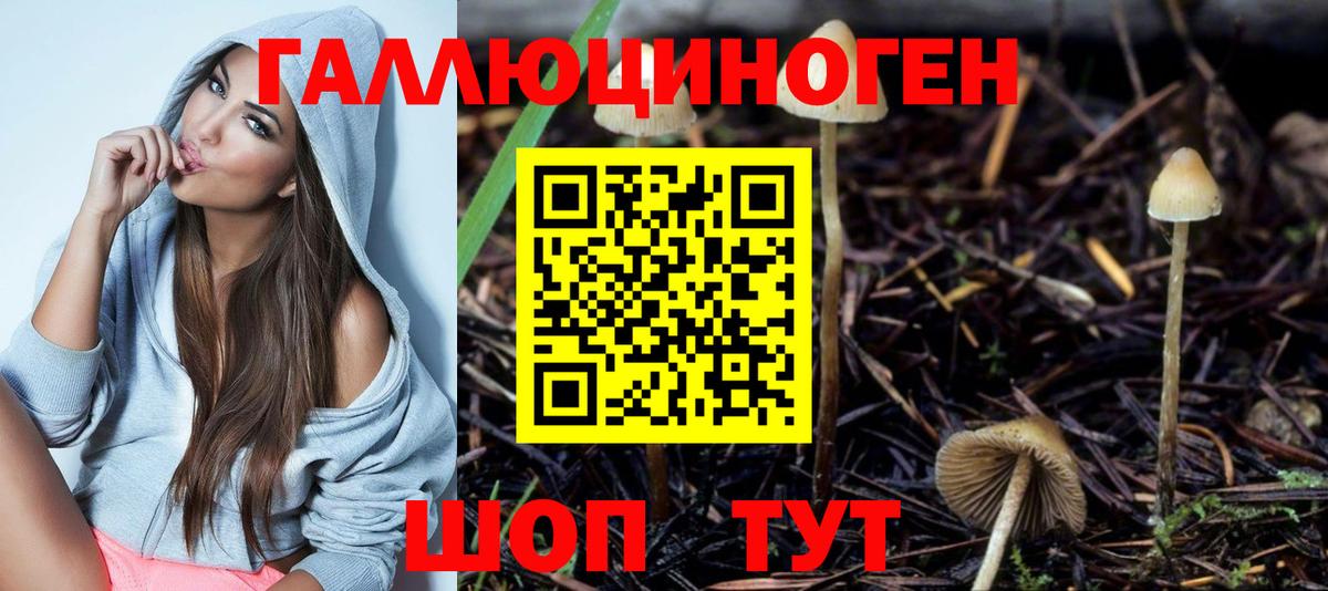 Галлюциногенные грибы MAGIC MUSHROOMS Озёры