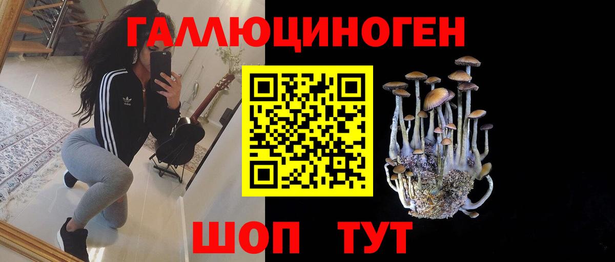 Псилоцибиновые грибы GOLDEN TEACHER  как найти закладки  Озёры  Вход с VPN 